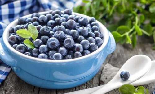 种蓝莓要会修剪，学一招，结的果子又大又甜！